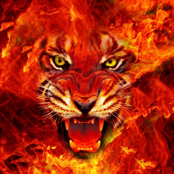 Hello Everyone,,,,,Welcome! - Picture 8 of 8